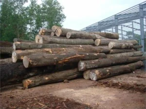 Gỗ Thiên Lộc – Công Ty TNHH Một Thành Viên Thương Mại Xuất Nhập Khẩu Thiên Lộc