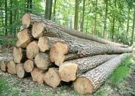 Công Ty Cổ Phần Đầu Tư Quốc Tế Trường An