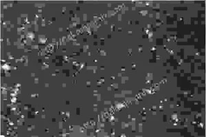 Công Ty TNHH Đá ốp Lát Nhập Khẩu