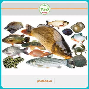 Thực Phẩm PS.ONE – Công Ty CP Thực Phẩm PS.ONE