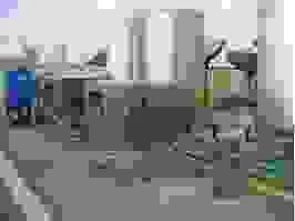 Hc1