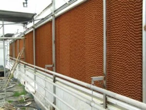 Chi Nhánh Bắc Giang  – Công Ty Điện Lạnh Công Nghiệp Bắc Ninh