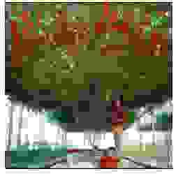 Vật Tư Làm Nông Lucky Garden – Công Ty TNHH Nhanh Thật Nhanh