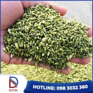 Dược Phẩm Đạt Doan – Công Ty CP Nông Thủy Sản Đạt Doan