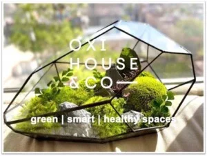 Công Ty Cổ Phần Jungle District