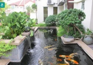 Thiết Kế Cảnh Quan VJ-TOP – Công Ty TNHH VJ-TOP