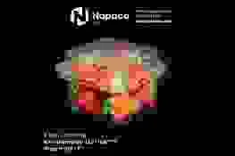 Bao Bì Nhựa Định Hình Napaco Việt Nam – Công Ty TNHH Napaco Việt Nam