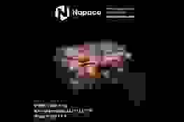 Bao Bì Nhựa Định Hình Napaco Việt Nam – Công Ty TNHH Napaco Việt Nam