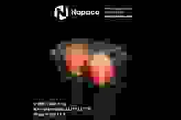 Bao Bì Nhựa Định Hình Napaco Việt Nam – Công Ty TNHH Napaco Việt Nam