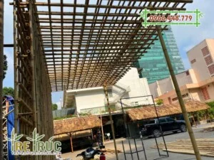 Tre Trúc Thái Dương