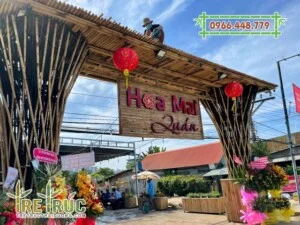 Tre Trúc Thái Dương