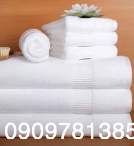 Khăn Bông Thuận Hải – Công Ty TNHH TM DV Logistics Thuận Hải