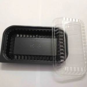 Đồ Nhựa Dùng Một Lần Thuận Lợi – Công Ty TNHH SX TM DV & XNK Bao Bì Thuận Lợi