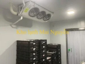 Kho Lạnh Công Nghiệp Mai Nguyễn – Công Ty TNHH Cơ Điện Lạnh Công Nghiệp Mai Nguyễn