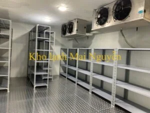 Kho Lạnh Công Nghiệp Mai Nguyễn – Công Ty TNHH Cơ Điện Lạnh Công Nghiệp Mai Nguyễn
