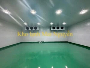 Kho Lạnh Công Nghiệp Mai Nguyễn – Công Ty TNHH Cơ Điện Lạnh Công Nghiệp Mai Nguyễn