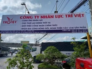 Nhân Lực Trí Việt – Công Ty TNHH Thương Mại Và Dịch Vụ Nhân Lực Trí Việt