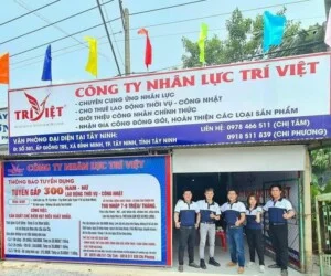 Nhân Lực Trí Việt – Công Ty TNHH Thương Mại Và Dịch Vụ Nhân Lực Trí Việt