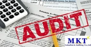 Thẩm Định MKT – Công Ty TNHH Tư vấn Thẩm định giá Và Kiểm toán MKT