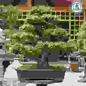 Công Ty Cổ Phần Đầu Tư Phú Đạt