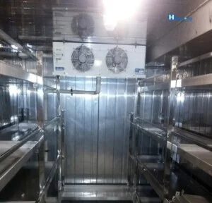 Cơ Điện Lạnh Bạch Dương