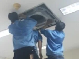 Công Ty TNHH Thương Mại Dịch Vụ Cơ Khí Xây Dựng Sài Gòn T&H