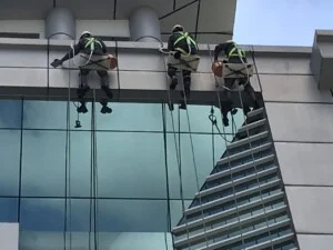 Vệ Sinh Nhà Xanh – Công Ty TNHH Dịch Vụ Vệ Sinh Nhà Xanh