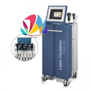 Chi Nhánh – Công Ty TNHH Domestic Việt Nam