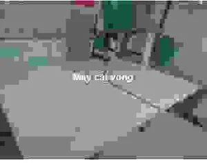 May20cat20vong