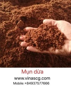 Công Ty Cổ phần SCG Việt Nam