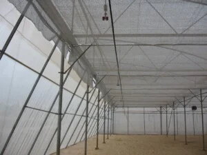 Nhà Kính Nông Nghiệp Rich Farm – Công Ty TNHH TM – DV Nông Nghiệp CNC Rich Farm