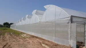 Nhà Kính Nông Nghiệp Rich Farm – Công Ty TNHH TM – DV Nông Nghiệp CNC Rich Farm