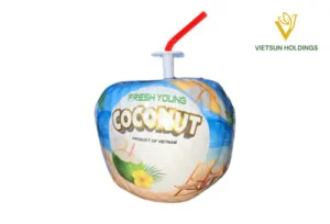 Sản Phẩm Từ Dừa VIETSUN – Công Ty TNHH VIETSUN HOLDINGS