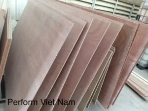 Công Ty TNHH Perform Việt Nam