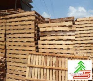 Pallet Á Châu – Công Ty Cổ Phần Wood Pallet Á  Châu