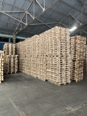 Pallet Gỗ Bình Minh – Công Ty TNHH SX TM Bình Minh