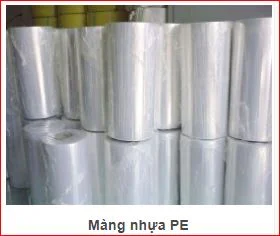 Cơ Sở Phú Quý