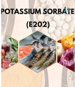 Chi Nhánh Công Ty TNHH Sản Xuất Thương Mại Đầu Tư Hoàng Thanh