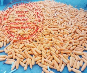 Công Ty TNHH Sản Xuất Thương Mại Dịch Vụ Khánh Minh Quý