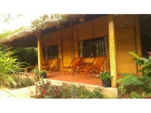 Công Ty TNHH MTV Du Lịch Nghỉ Dưỡng Sinh Thái Cồn Tân Phong