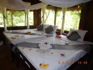 Công Ty TNHH MTV Du Lịch Nghỉ Dưỡng Sinh Thái Cồn Tân Phong