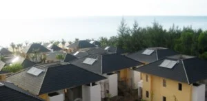 Quy Mo Gia Dinh