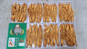 Siêu Thị Hàn Quốc – Công Ty TNHH Thực Phẩm Sạch Việt Hàn