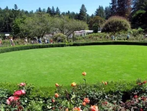 Thiết Kế Cảnh Quan VJ-TOP – Công Ty TNHH VJ-TOP