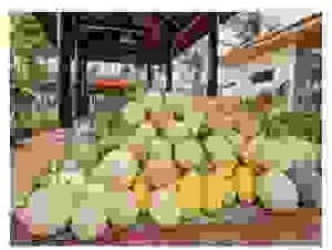 Công Ty TNHH TMDV – Tin Học Niên Thời