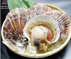Hải Sản Đại Dương Xanh – Cửa Hàng Đại Dương Xanh
