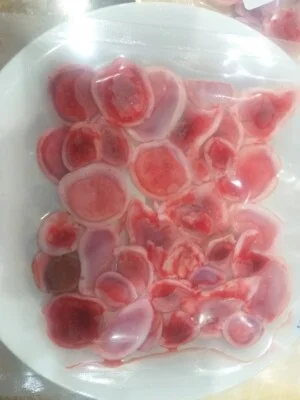 Nhung Hươu Phương Nam – Công Ty TNHH Nông Trại Xanh Phương Nam