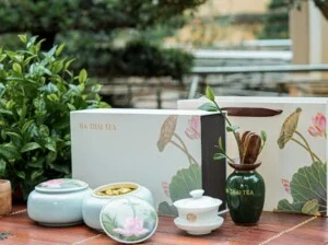 Hà Thái Tea – Công Ty CP Chè Hà Thái Thái Nguyên
