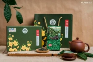 Hà Thái Tea – Công Ty CP Chè Hà Thái Thái Nguyên
