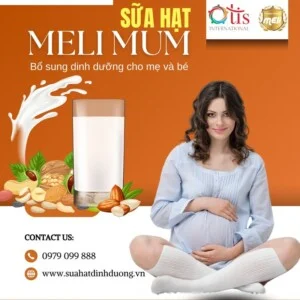 Gia Công Sữa Hạt Otis Việt Nam – Công Ty Cổ Phần Thương Mại Quốc Tế Otis Việt Nam